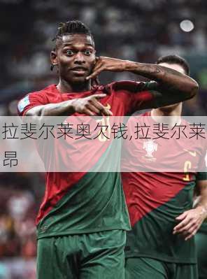 拉斐尔莱奥欠钱,拉斐尔莱昂