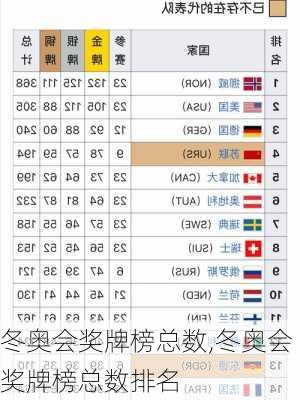 冬奥会奖牌榜总数,冬奥会奖牌榜总数排名
