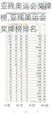 亚残奥运会奖牌榜,亚残奥运会奖牌榜排名