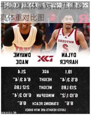 韦德身高体重对比,韦德身高体重对比图