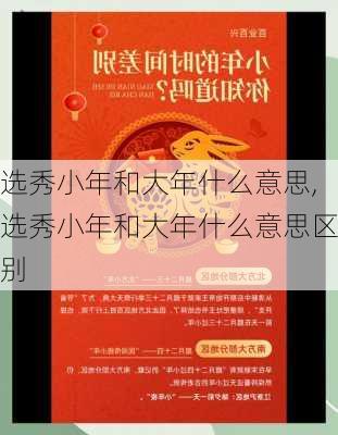 选秀小年和大年什么意思,选秀小年和大年什么意思区别