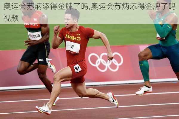 奥运会苏炳添得金牌了吗,奥运会苏炳添得金牌了吗视频