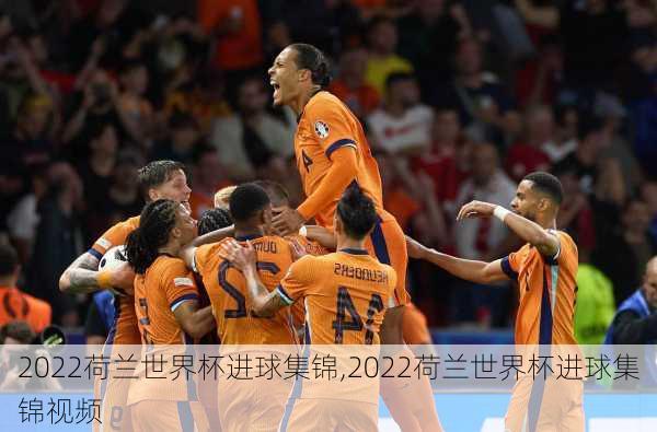 2022荷兰世界杯进球集锦,2022荷兰世界杯进球集锦视频