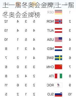 上一届冬奥会金牌,上一届冬奥会金牌榜