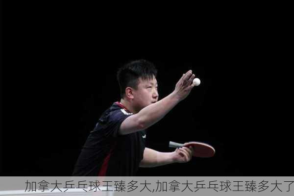 加拿大乒乓球王臻多大,加拿大乒乓球王臻多大了