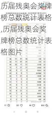 历届残奥会奖牌榜总数统计表格,历届残奥会奖牌榜总数统计表格图片