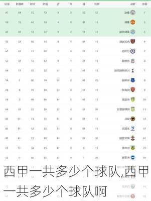 西甲一共多少个球队,西甲一共多少个球队啊