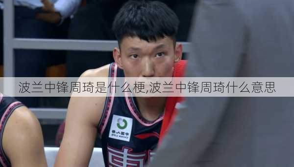 波兰中锋周琦是什么梗,波兰中锋周琦什么意思