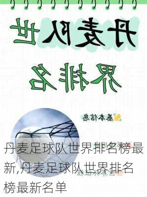 丹麦足球队世界排名榜最新,丹麦足球队世界排名榜最新名单