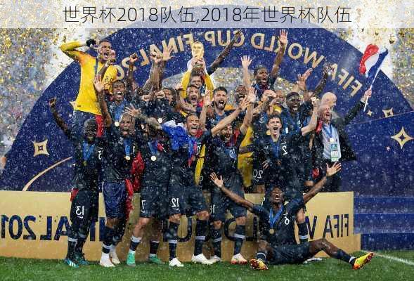 世界杯2018队伍,2018年世界杯队伍