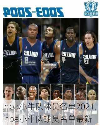 nba小牛队球员名单2021,nba小牛队球员名单最新