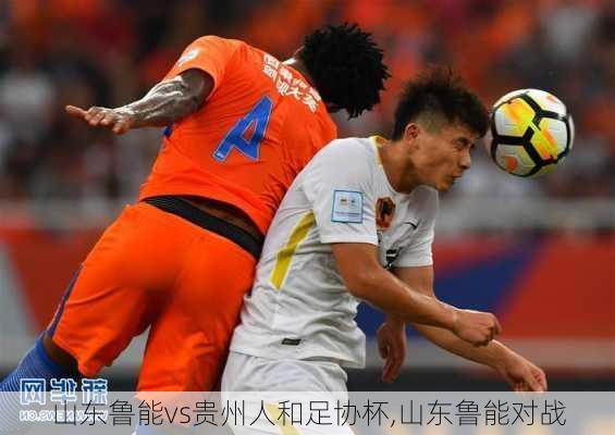 山东鲁能vs贵州人和足协杯,山东鲁能对战