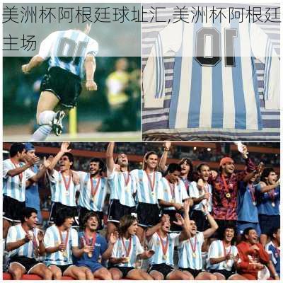 美洲杯阿根廷球址汇,美洲杯阿根廷主场