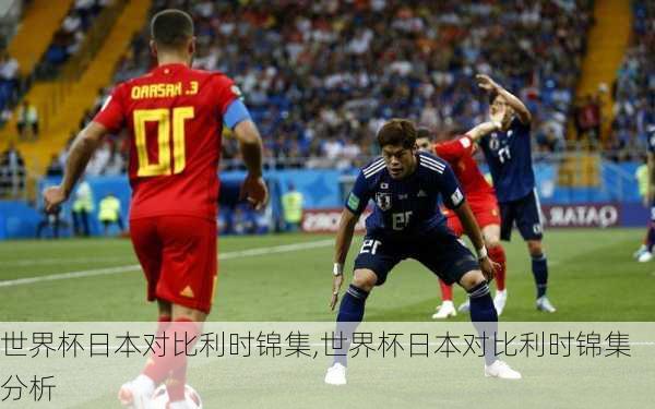 世界杯日本对比利时锦集,世界杯日本对比利时锦集分析
