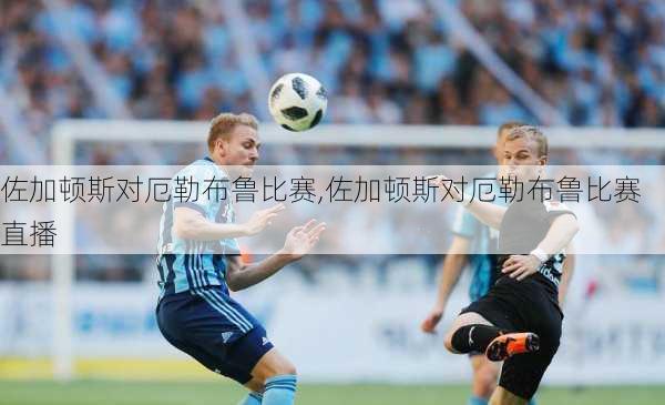 佐加顿斯对厄勒布鲁比赛,佐加顿斯对厄勒布鲁比赛直播
