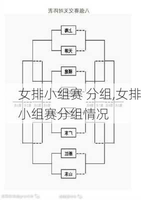 女排小组赛 分组,女排小组赛分组情况