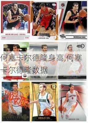 何塞卡尔德隆身高,何塞卡尔德隆数据
