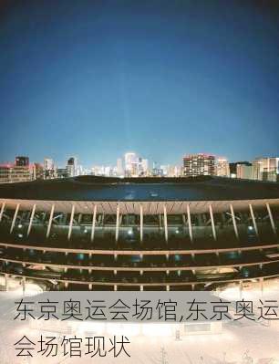 东京奥运会场馆,东京奥运会场馆现状