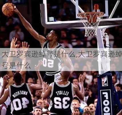 大卫罗宾逊绰号是什么,大卫罗宾逊绰号是什么