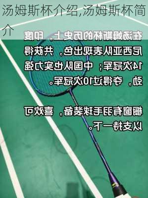 汤姆斯杯介绍,汤姆斯杯简介