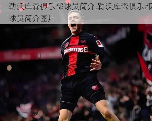 勒沃库森俱乐部球员简介,勒沃库森俱乐部球员简介图片