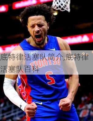 底特律活塞队简介,底特律活塞队百科