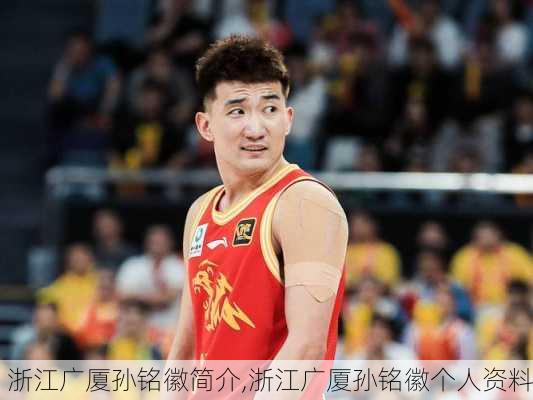 浙江广厦孙铭徽简介,浙江广厦孙铭徽个人资料