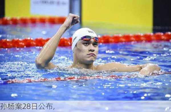 孙杨案28日公布,