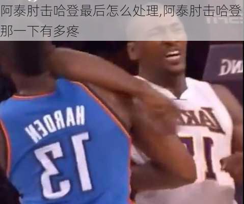 阿泰肘击哈登最后怎么处理,阿泰肘击哈登那一下有多疼