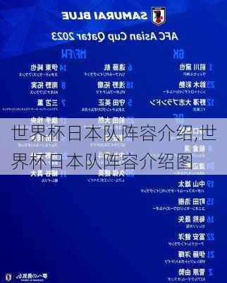 世界杯日本队阵容介绍,世界杯日本队阵容介绍图