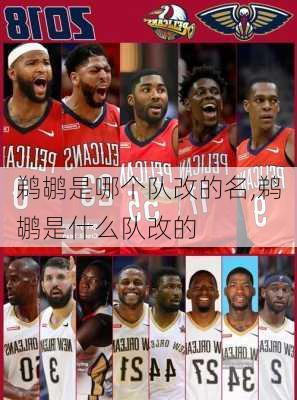 鹈鹕是哪个队改的名,鹈鹕是什么队改的
