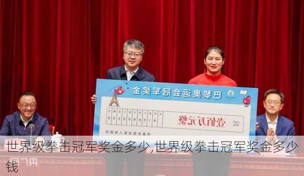世界级拳击冠军奖金多少,世界级拳击冠军奖金多少钱