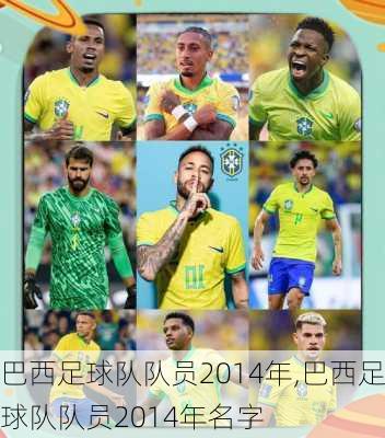巴西足球队队员2014年,巴西足球队队员2014年名字