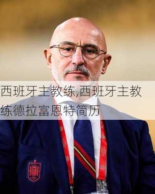 西班牙主教练,西班牙主教练德拉富恩特简历