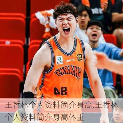 王哲林个人资料简介身高,王哲林个人资料简介身高体重