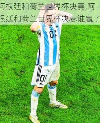 阿根廷和荷兰世界杯决赛,阿根廷和荷兰世界杯决赛谁赢了