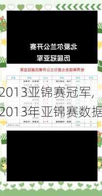 2013亚锦赛冠军,2013年亚锦赛数据