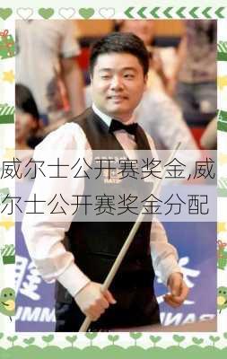威尔士公开赛奖金,威尔士公开赛奖金分配
