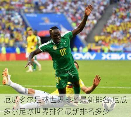 厄瓜多尔足球世界排名最新排名,厄瓜多尔足球世界排名最新排名多少