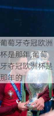 葡萄牙夺冠欧洲杯是那年,葡萄牙夺冠欧洲杯是那年的