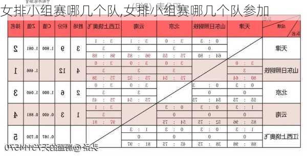 女排小组赛哪几个队,女排小组赛哪几个队参加