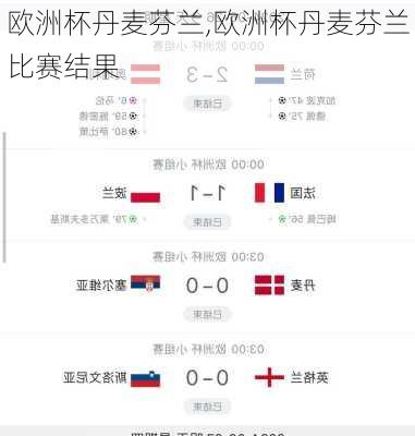 欧洲杯丹麦芬兰,欧洲杯丹麦芬兰比赛结果